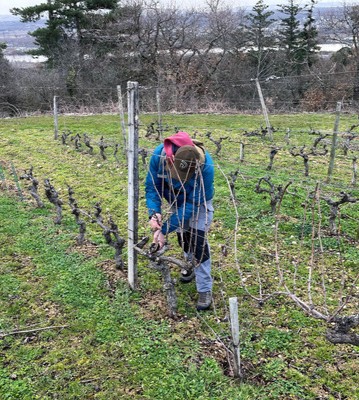 Zoom sur la taille 2026